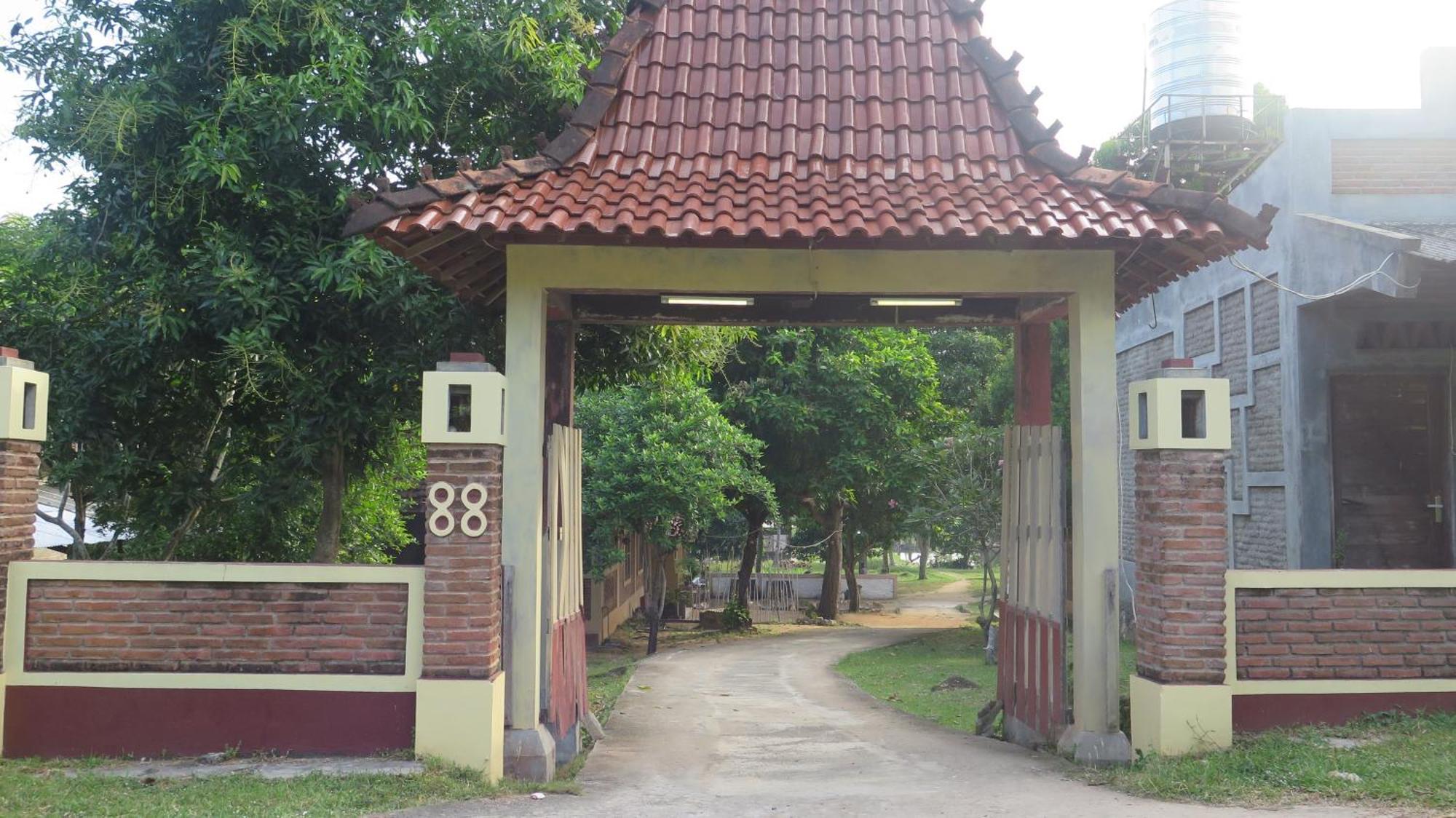 Mangrove Inn Karimunjawa-Inseln Exterior foto