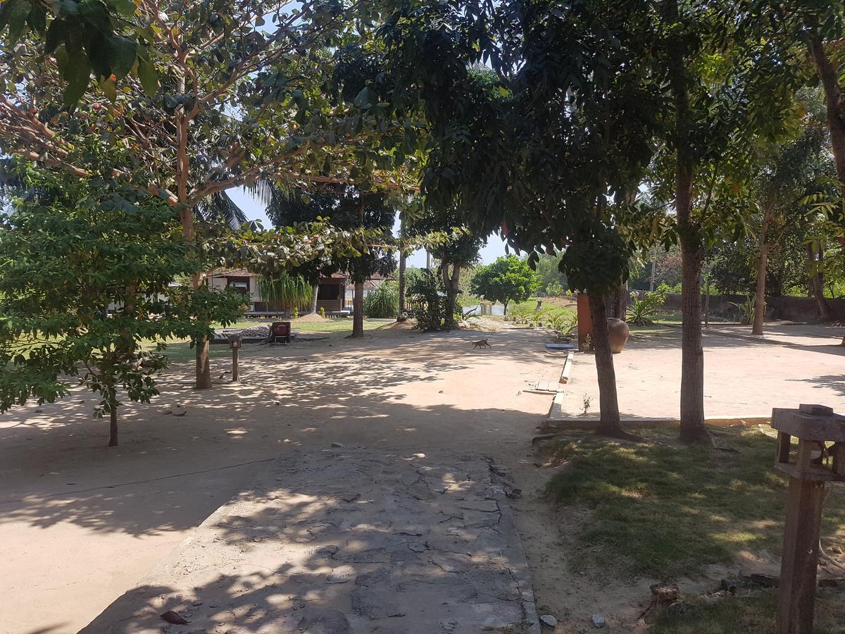 Mangrove Inn Karimunjawa-Inseln Exterior foto