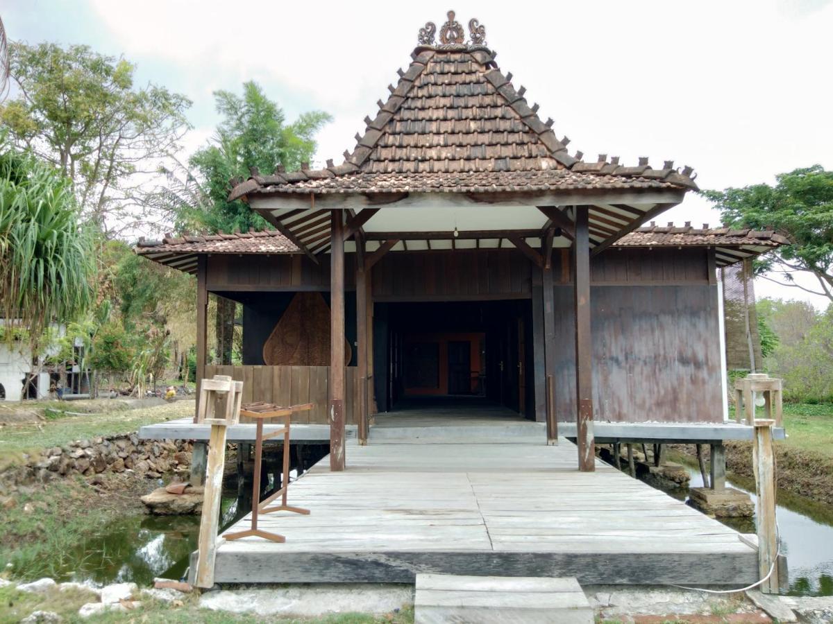 Mangrove Inn Karimunjawa-Inseln Exterior foto